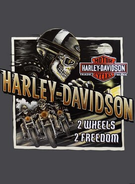 Poster Harley-Davidson: Wheels of Freedom