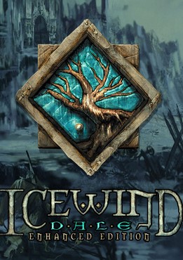 Poster Icewind Dale: Enhanced Edition