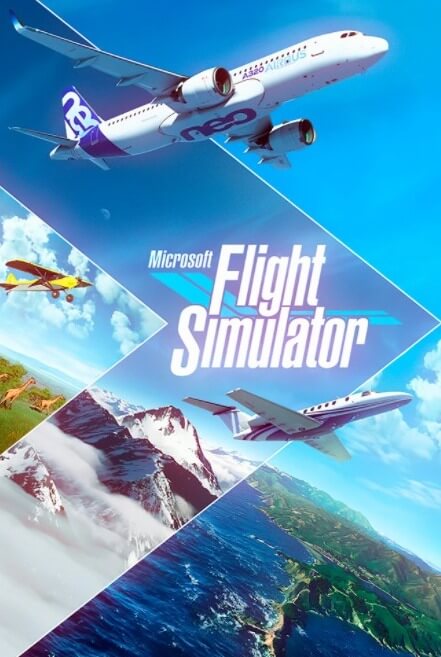 Poster Microsoft Flight Simulator